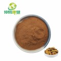 Polygonum cuspidatum Raiz Extract Powder