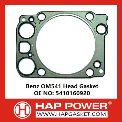 OM541 Head Gasket OE 5410160920