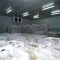 High-tech Cold Room For Seafood