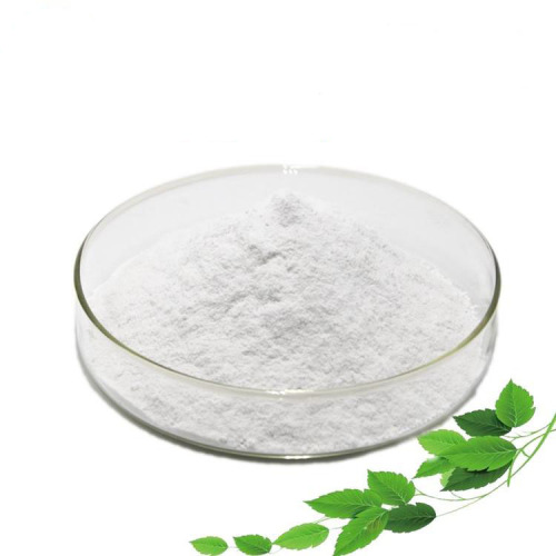 Food Additives Natural Sweetner Stevia P.E/Stevioside Factory