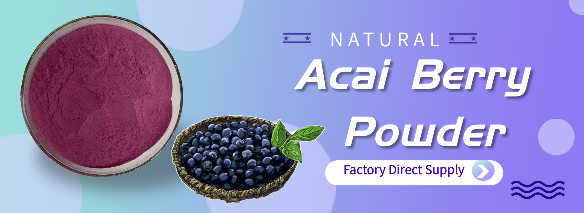 Acai Berry Powder