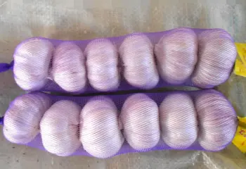 2018 new crop hot sale normal white garlic