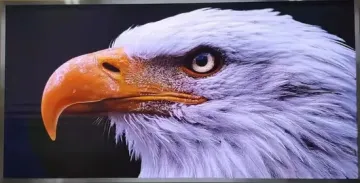 Wholesale Indoor COB 0.9 HD Full Color LED Video Wall Display