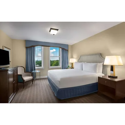 Park Plaza Radisson Hotel Five-Star Bedroom Furniture Set