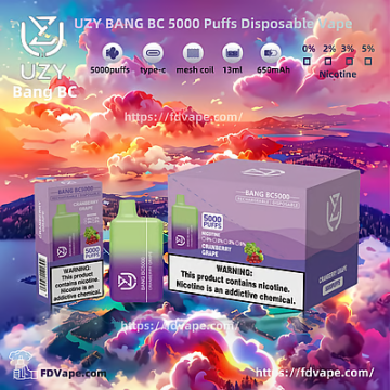 Original UZY BANG BC5K Puffs Vape Germany