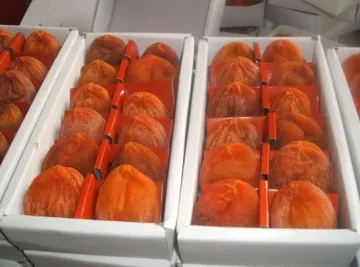 Chinese Dried Persimmon