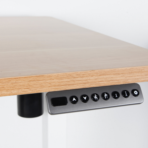 Electric Sit Stand Desk