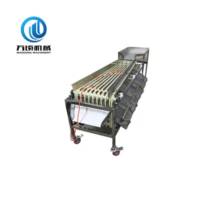 5 Grade Sorting Machine Equipment for Dates, Plums, Oranges, and Avocados