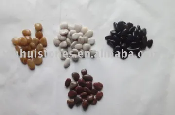 multi color polished pebble