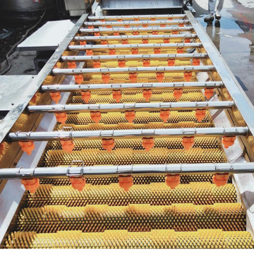 Automatic Fruit, Vegetable, and Root Cleaning Machines