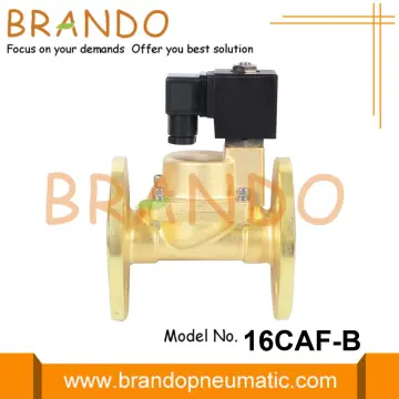 1 1.5 2 Inch Flanged Steam Solenoid Valve