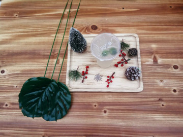 Simple Natural Wooden Food Dish
