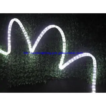 New Style Led Rope Bulb