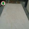 poplar core okoume veneer commercial plywood for furniture