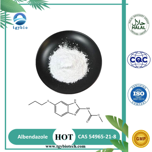 Veterinärmedizin Albendazol Pulver CAS 54965-21-8
