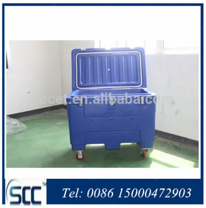 Keep dry ice cold transportation container dry ice cold chain container for dry ice cooling