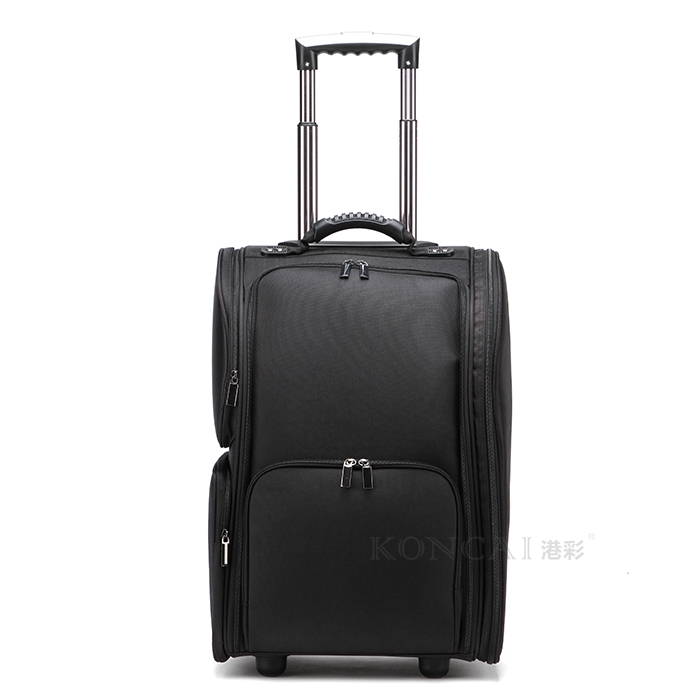Professional Hard Beauty Case