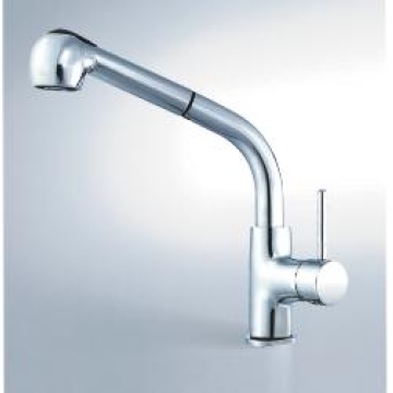 Kitchen Faucet with Pull-Out Spout
