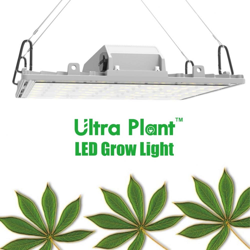 200W LED Grow Light for Plant FLowering