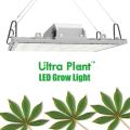 200W LED phát triển ánh sáng cho cây ra hoa