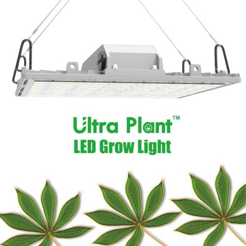 Luz de cultivo LED de 200W para flores de plantas