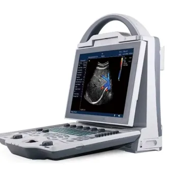 Portable 4D Ultrasound Machine for Veterinary Use