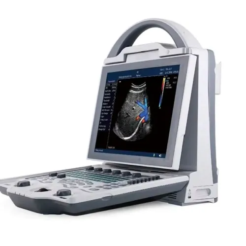 Portable 4D Ultrasound Machine for Veterinary Use