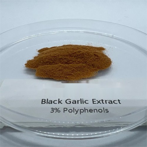High quality Black garlic powder