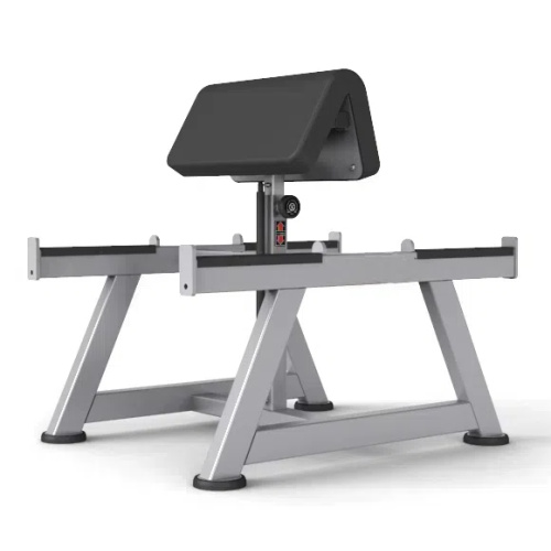 Bench Curl de pregador (tipo de suporte)