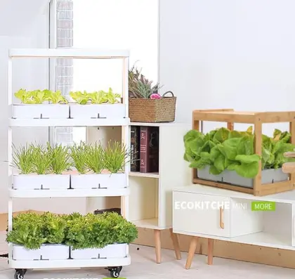 Sun Greenhouse Vertical Plant Hydroponic Grow Systems with LED Lights