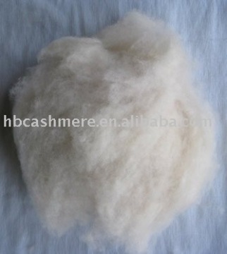 Dehaired washed cashmere fibers
