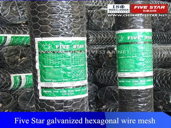 Galvanized Chicken wire mesh/Hexagonal wire netting PVC coated Hexagonal Wire Mesh/chicken wire