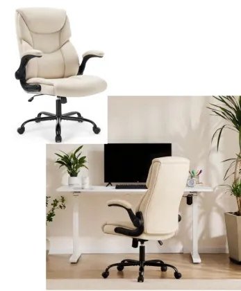 Cerberus Core-Ergo Game Chair