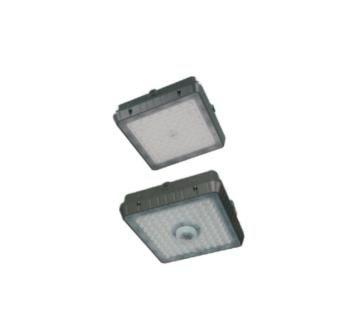 Youth Green AC120-277V Dimmable 3CCT Sensing LED Canopy Light for Parking Lots and Gas Stations