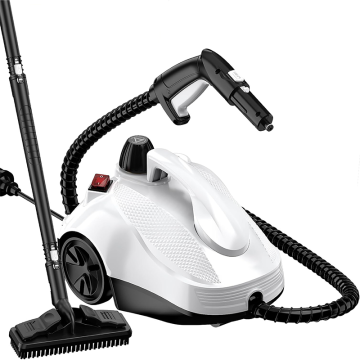 Papaquier portable professionnel avec vapeur chaude et haute pression pour le nettoyage des ménages et de la cuisine