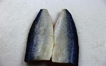 Frozen Mackerel Fillet Piece