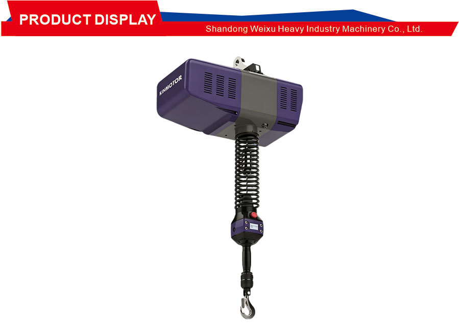 Digital Gold Axis Hoist