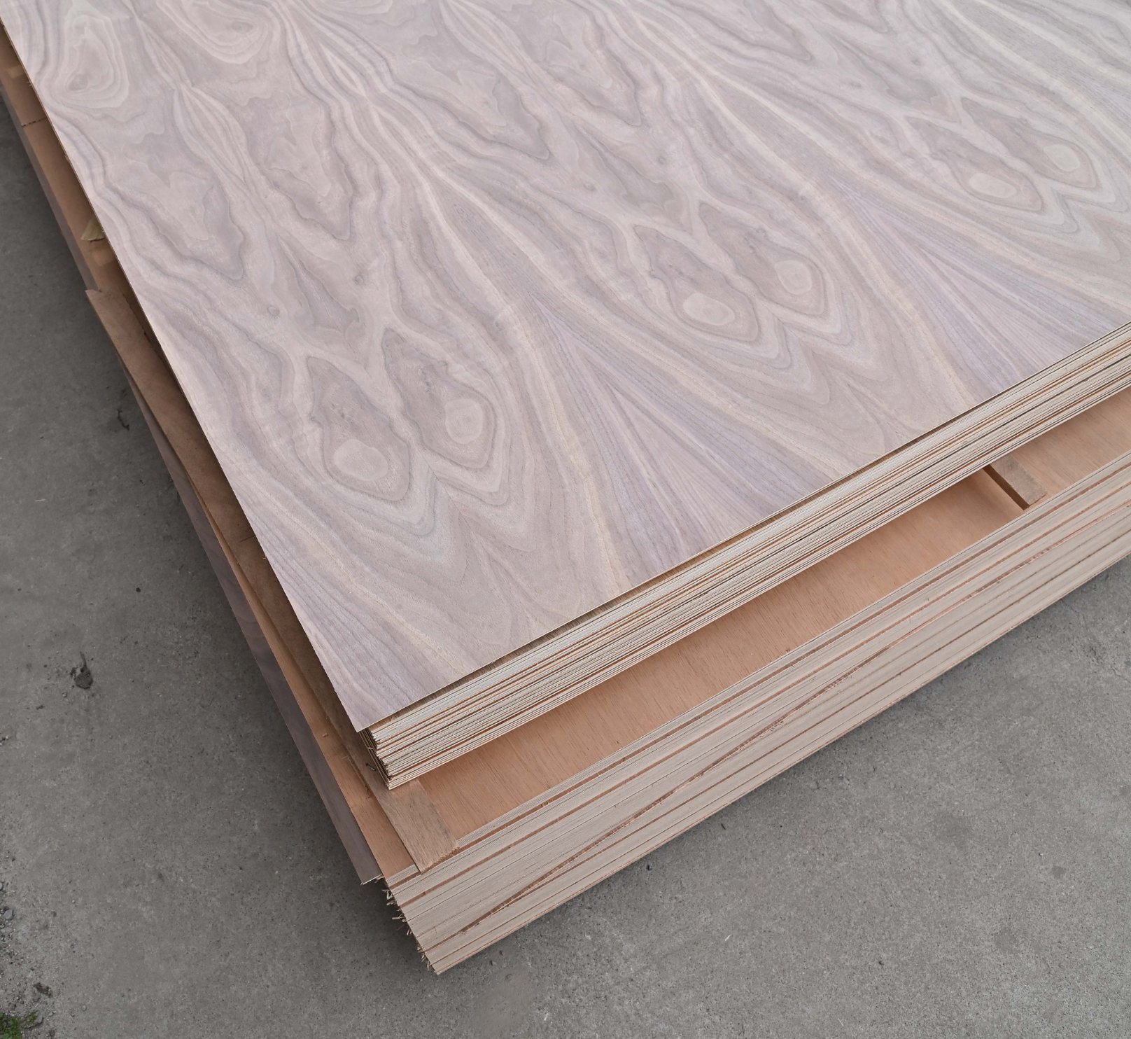 Walnut-fancy-Wood Walnut-fancy-Wood
