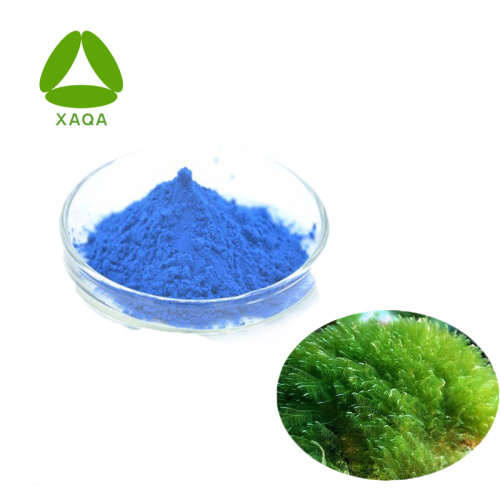 Ficocianina 80% Pigmento azul natural en polvo