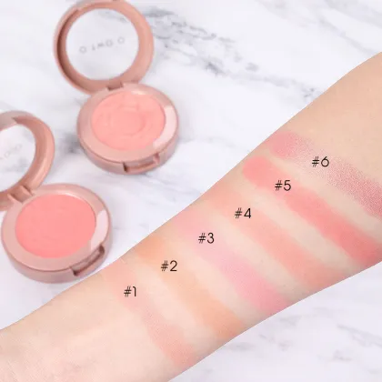 OEM Factory Wholesale Private Label Face Makeup Blush