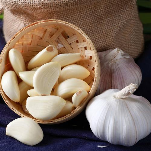 garlic