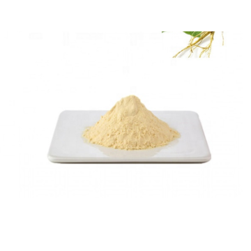 high quality ginseng extract ginsenoside 80% powder