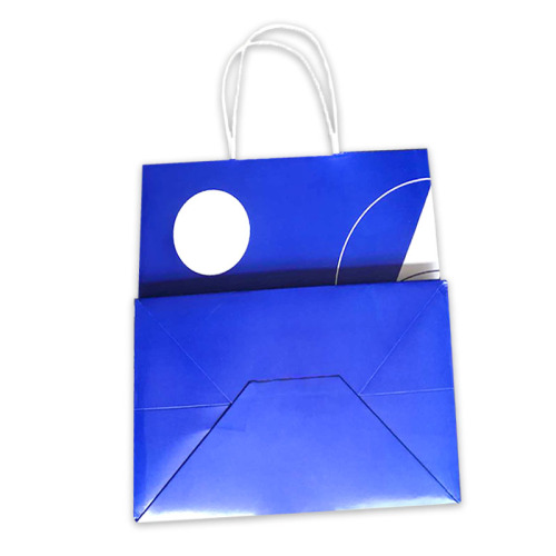 Christmas Wrapped Gift Carton Bag