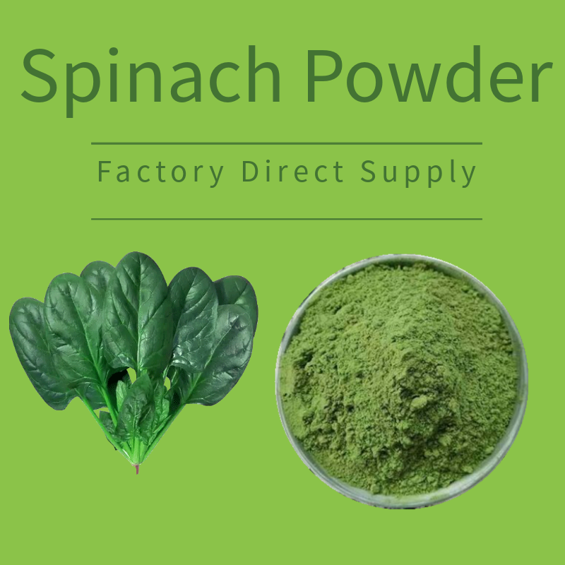 Best Dried Spinach Powder with Competitive Price