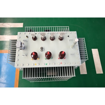 Trasformatore di distribuzione S13-M-250 20KV