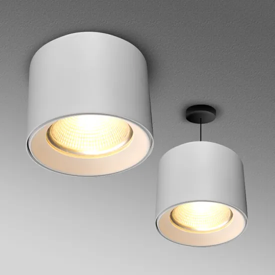 DGLUX Cheap Housing Indoor Down Lamp Aluminum White COB LED Surface Mounted Downlight 15w 25w 30w