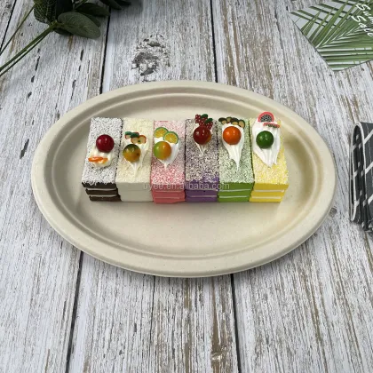 Biodegradable plates and screws plate 10'' Oval Plate