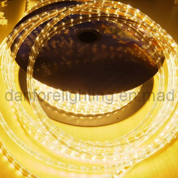 9.6W Super Bright Warm White 5m 600 LED 3528 LED Strip Light (DF-3528-60-AC)