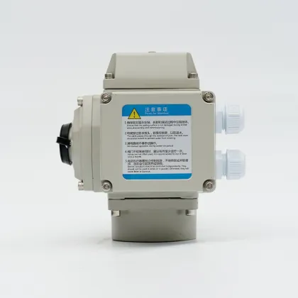 Electric actuator valve electric installation