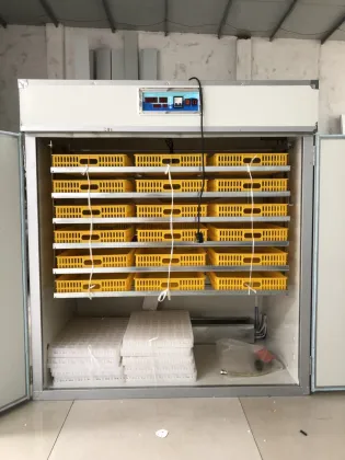 Chicken Egg Incubator and Hatcher for Egg Hatching Machine